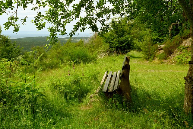 对杜兰特也 对杜兰特也