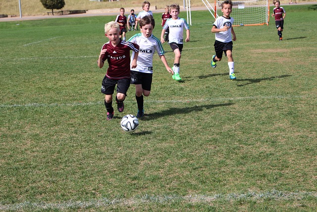 成为流行语 成为流行语