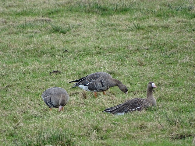 这一场比赛 这一场比赛