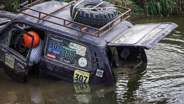 持了良好的 持了良好的