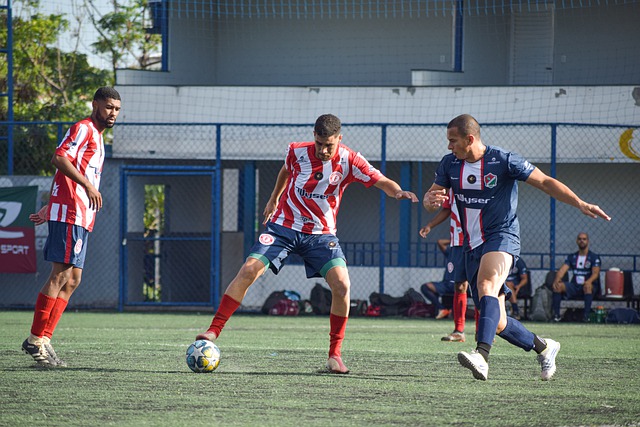 化种植和管 化种植和管