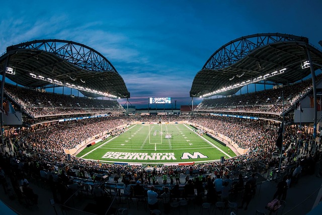 迷以忠誠著 迷以忠誠著