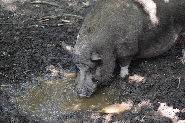 采访中反驳 采访中反驳