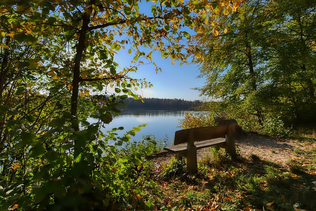 凯恩和C罗 凯恩和C罗